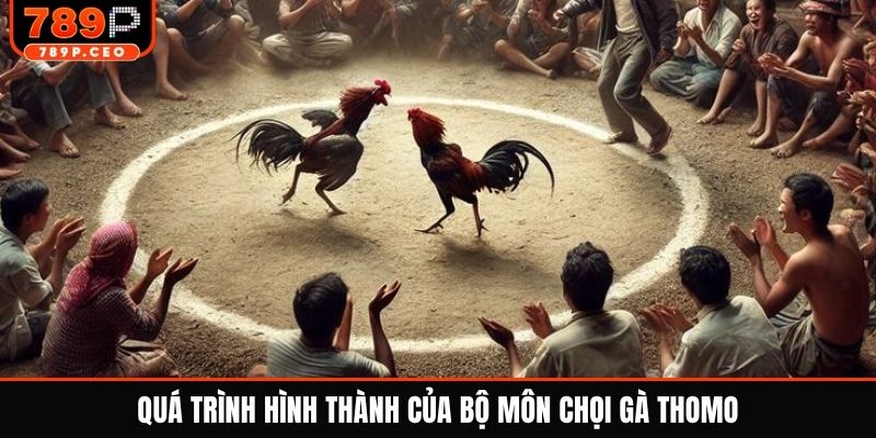 Quá trình hình thành của bộ môn chọi gà Thomo